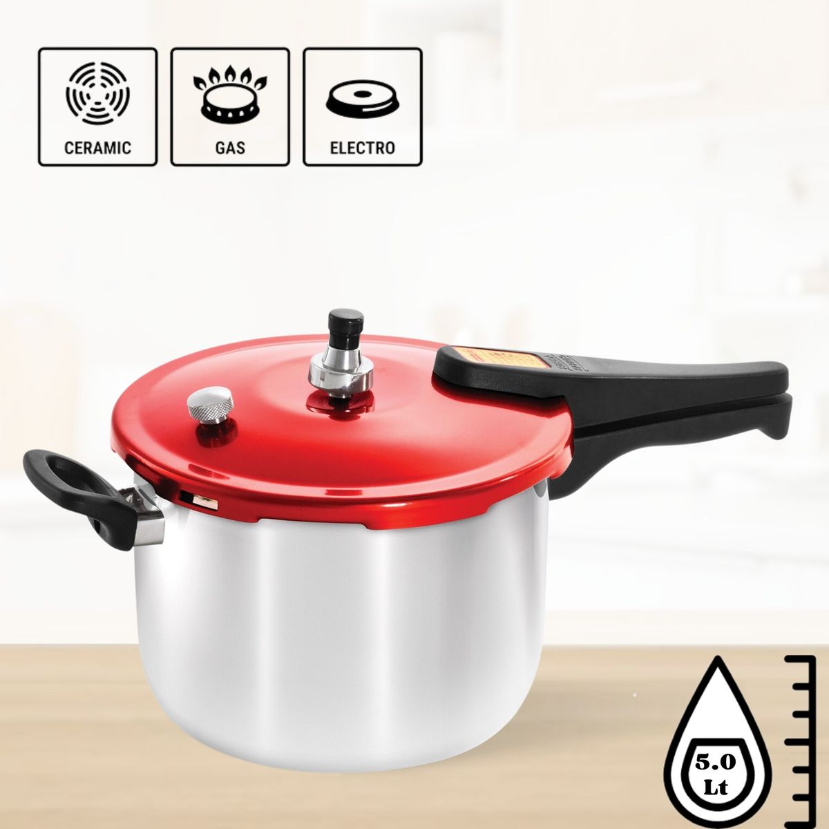 RECORD - Olla  A  Presión Alum Press 5L