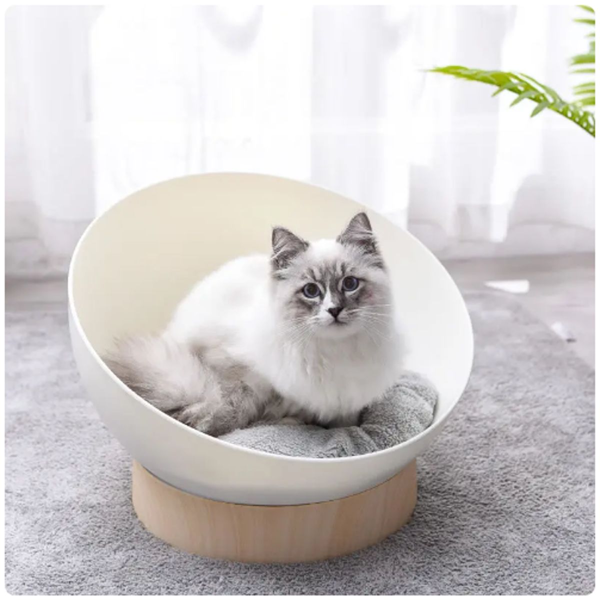 GENERICO - Cama para gato semiesférico premiun con cojín