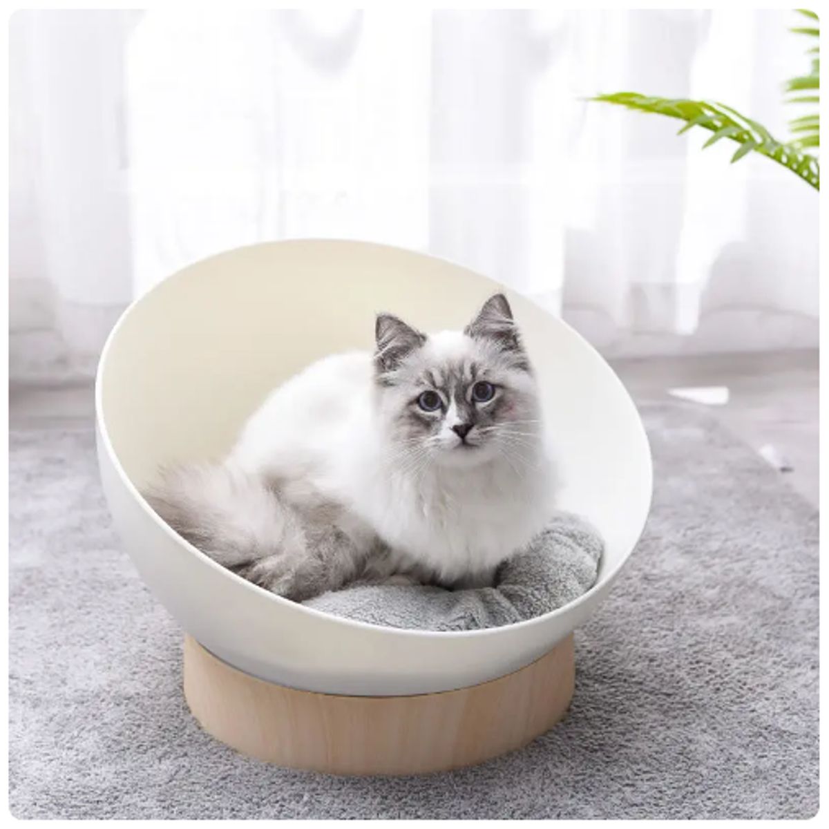 GENERICO - Cama para gato semiesférico premiun con cojín