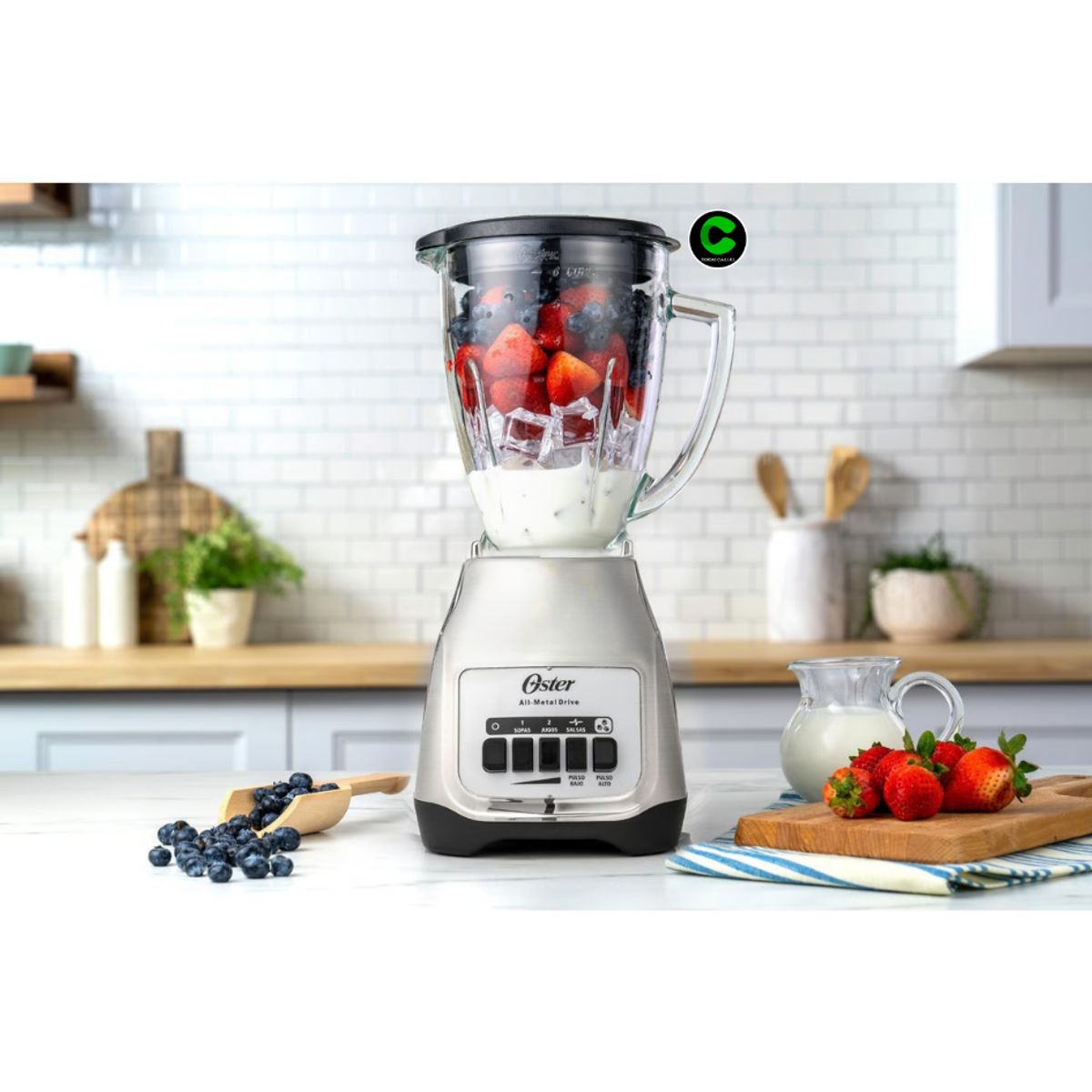 OSTER - Licuadora Oster  BLSTKAG-NPB-053- 2 Velocidades - PLATA