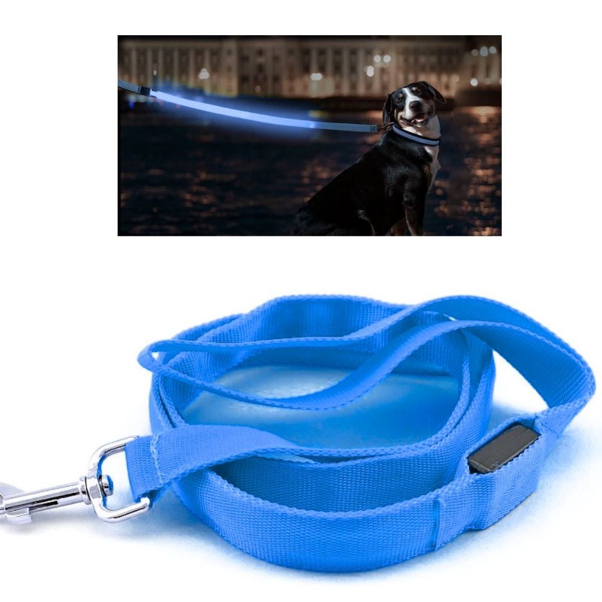 GENERICO - CORREA LED MASCOTAS AZUL 121X25CM