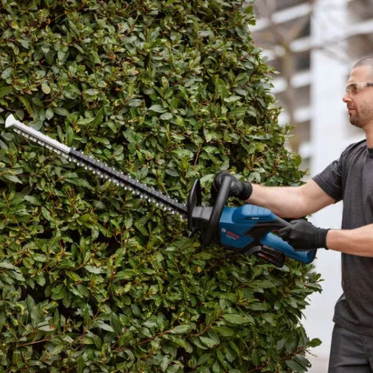 BOSCH - Cortasetos Inalámbrico Bosch GHE 18V-60 Profesional (Baretool)