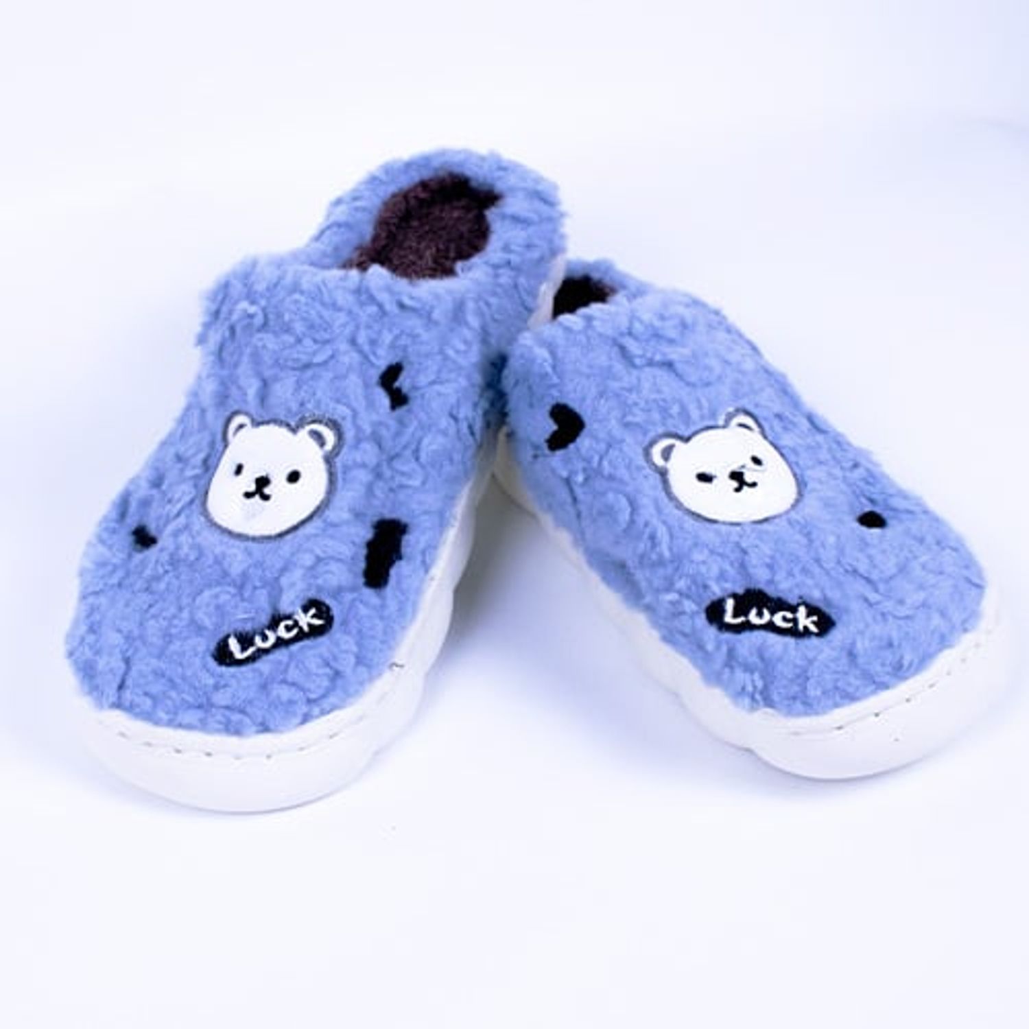 Toy Poodle Autumn Shades Standard Poodles Dog Breeds Types Of