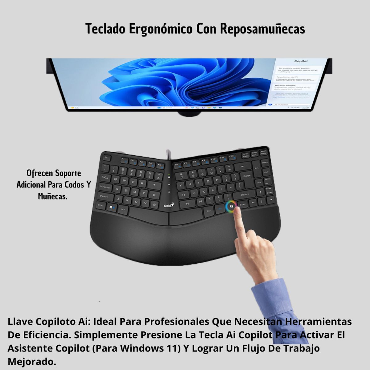 GENIUS - Teclado Genius Ergo Kb-700 C-Tecla Copilot