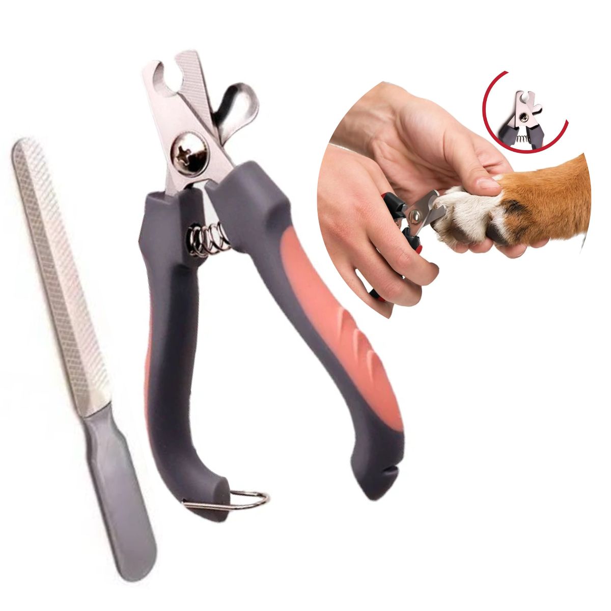 GENERICO - Cortauñas para Mascotas y Lima Coral c-Seguro T-G