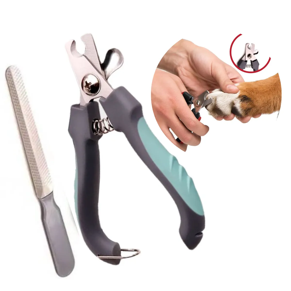 GENERICO - Cortauñas para Mascotas y Lima verde agua c-Seguro T-G