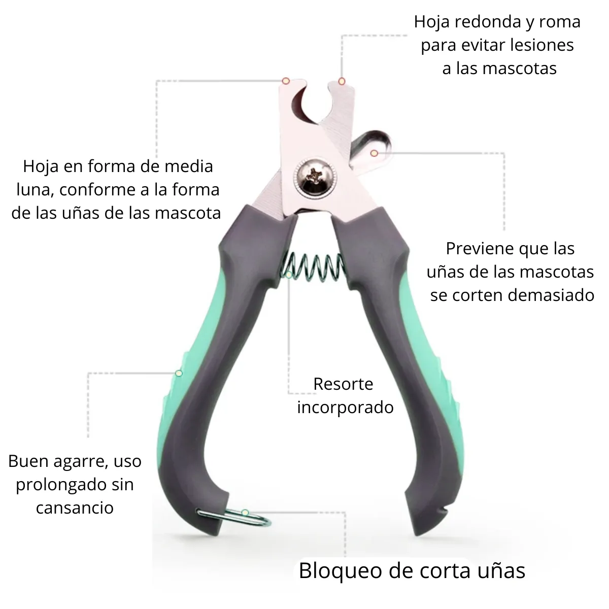 GENERICO - Cortauñas para Mascotas y Lima verde agua c-Seguro T-G