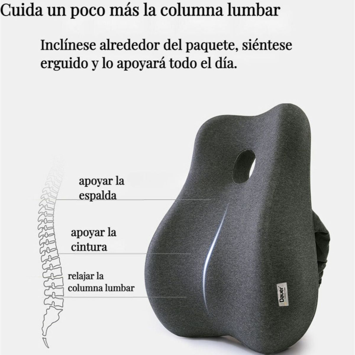 DAUER - Combo Cojines Ergonomicos Lumbar + Asiento 3D Espacial Talla Completa