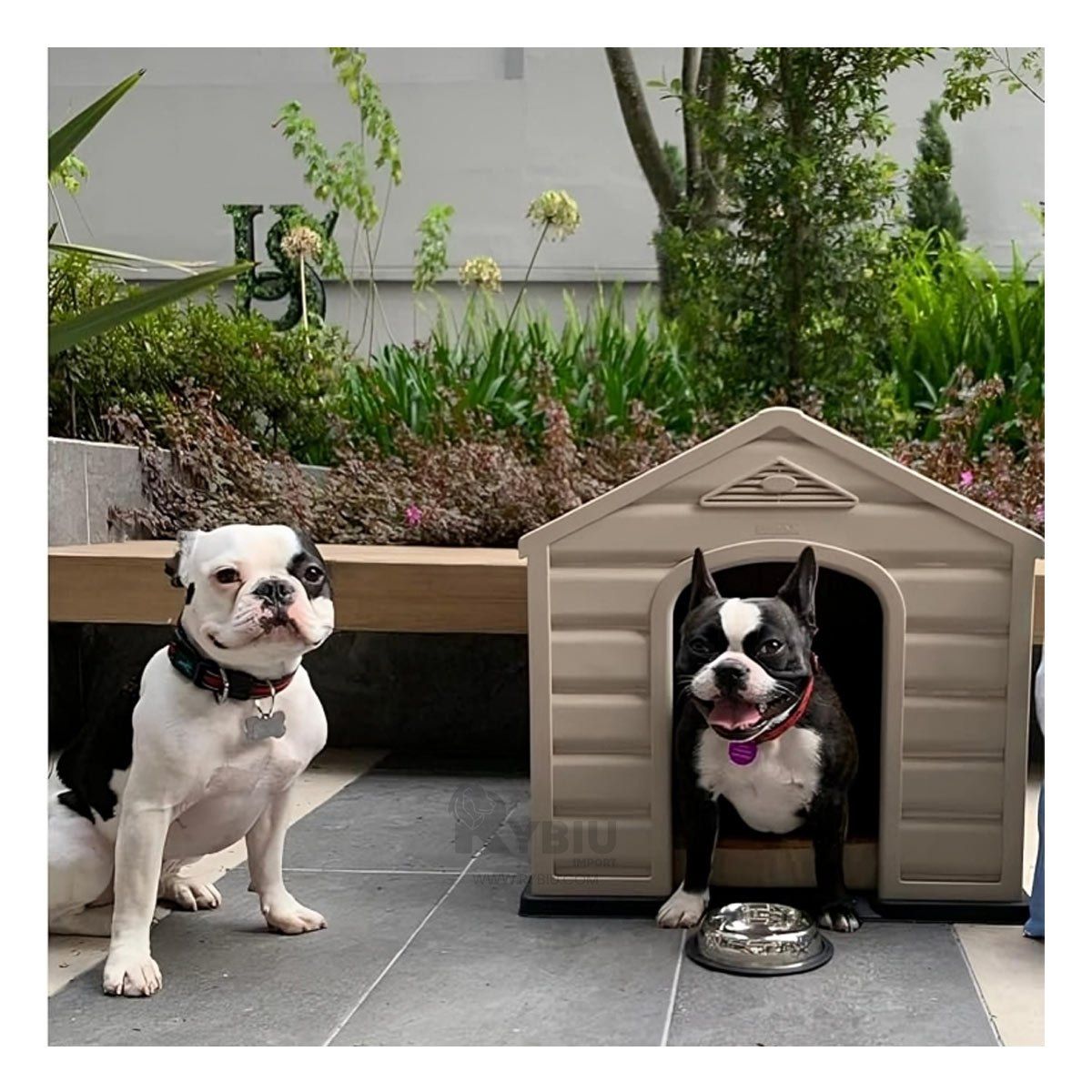 GENERICO - Casa Multifuncional para Mascotas Mediana Y+Stickers