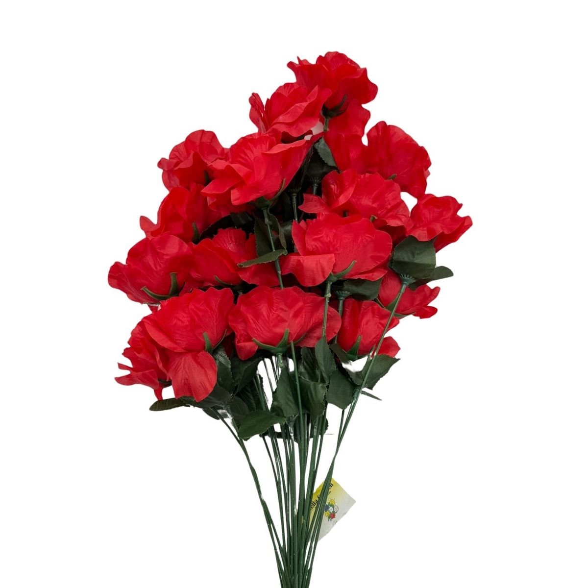 FLORIPA - Bouquet De Rosas 24 Flores BG302402-RJ FLORIPASTORE