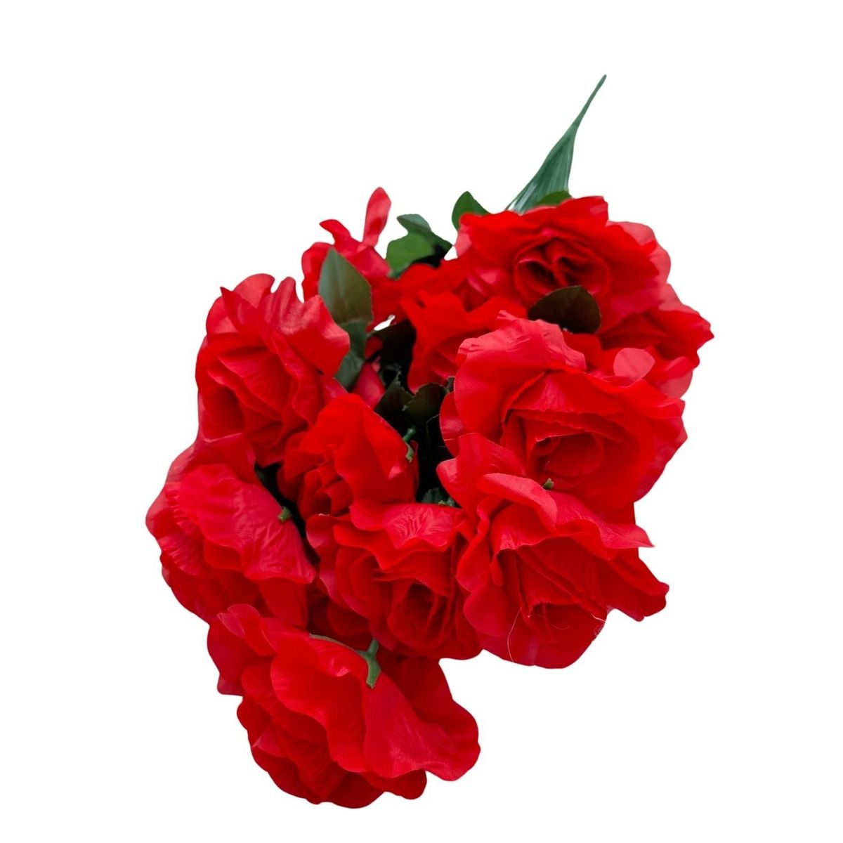 FLORIPA - Bouquet De Rosas 24 Flores BG302402-RJ FLORIPASTORE