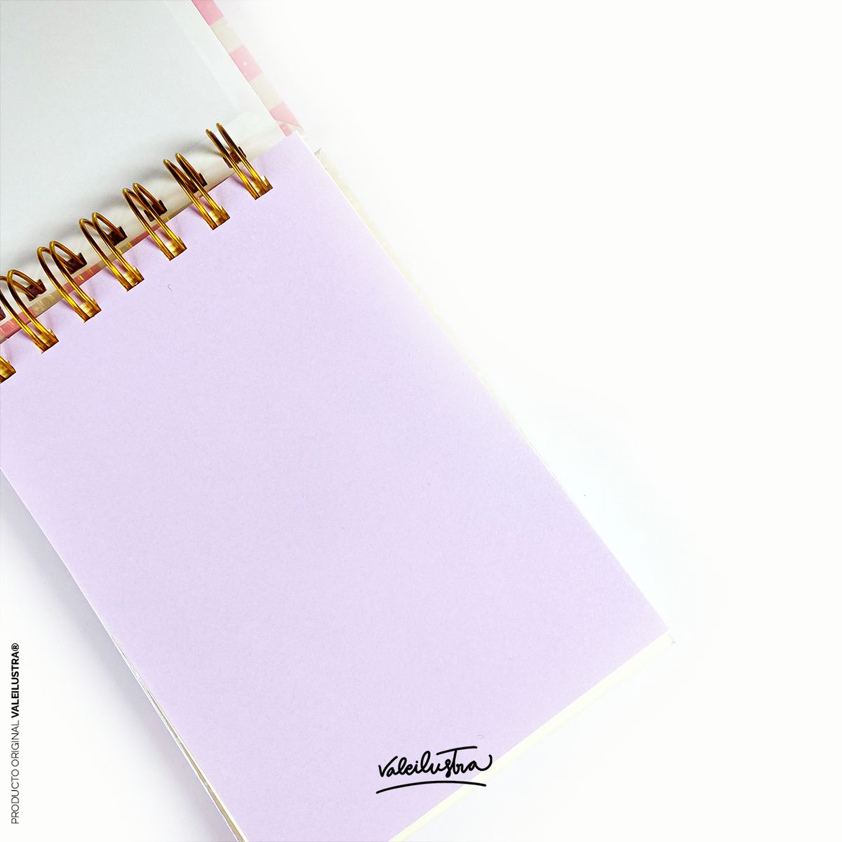 VALE ILUS TRA - Libreta Holográfica  - Sana