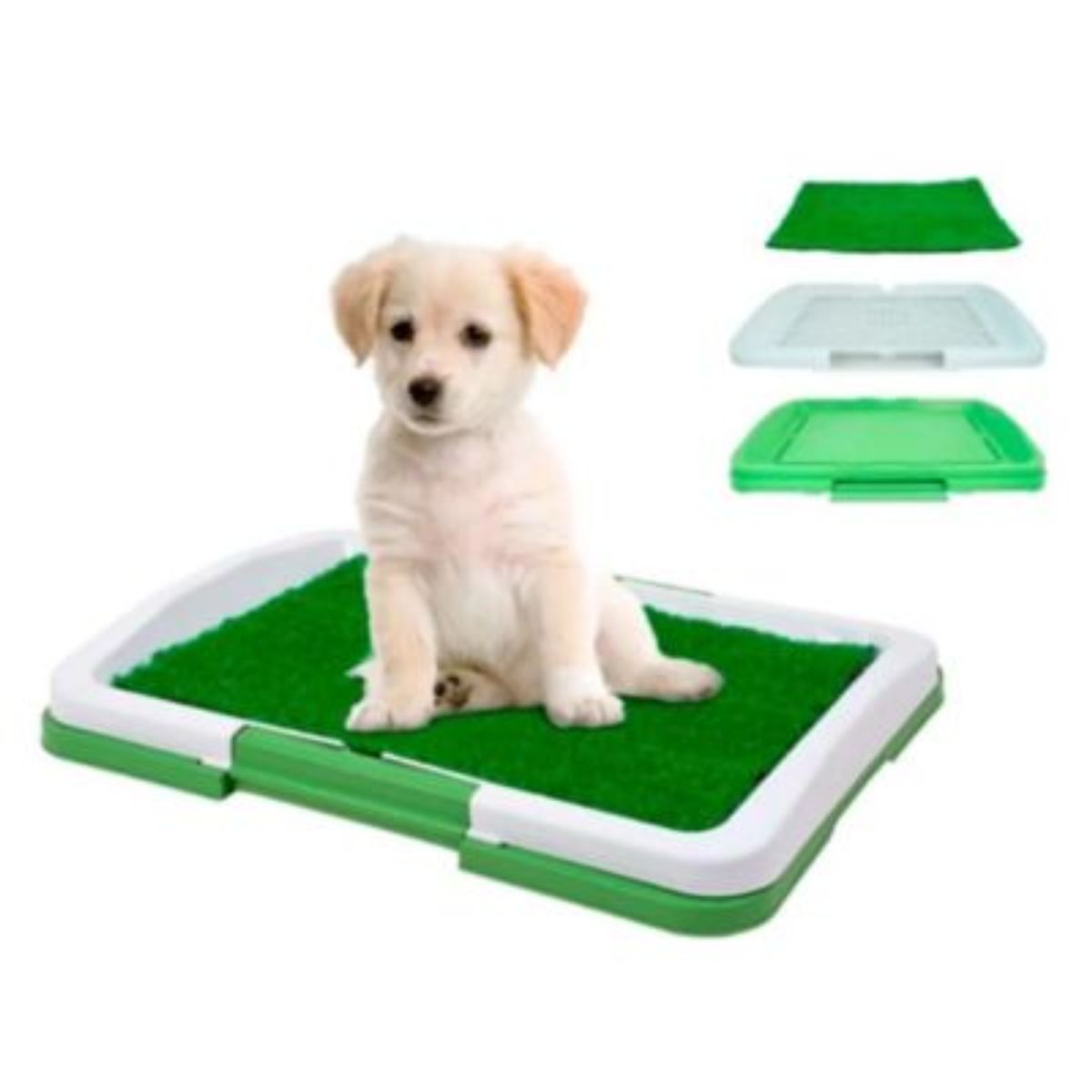 OEM - Baño Ecológico de Entrenamiento con Bandeja para Mascotas