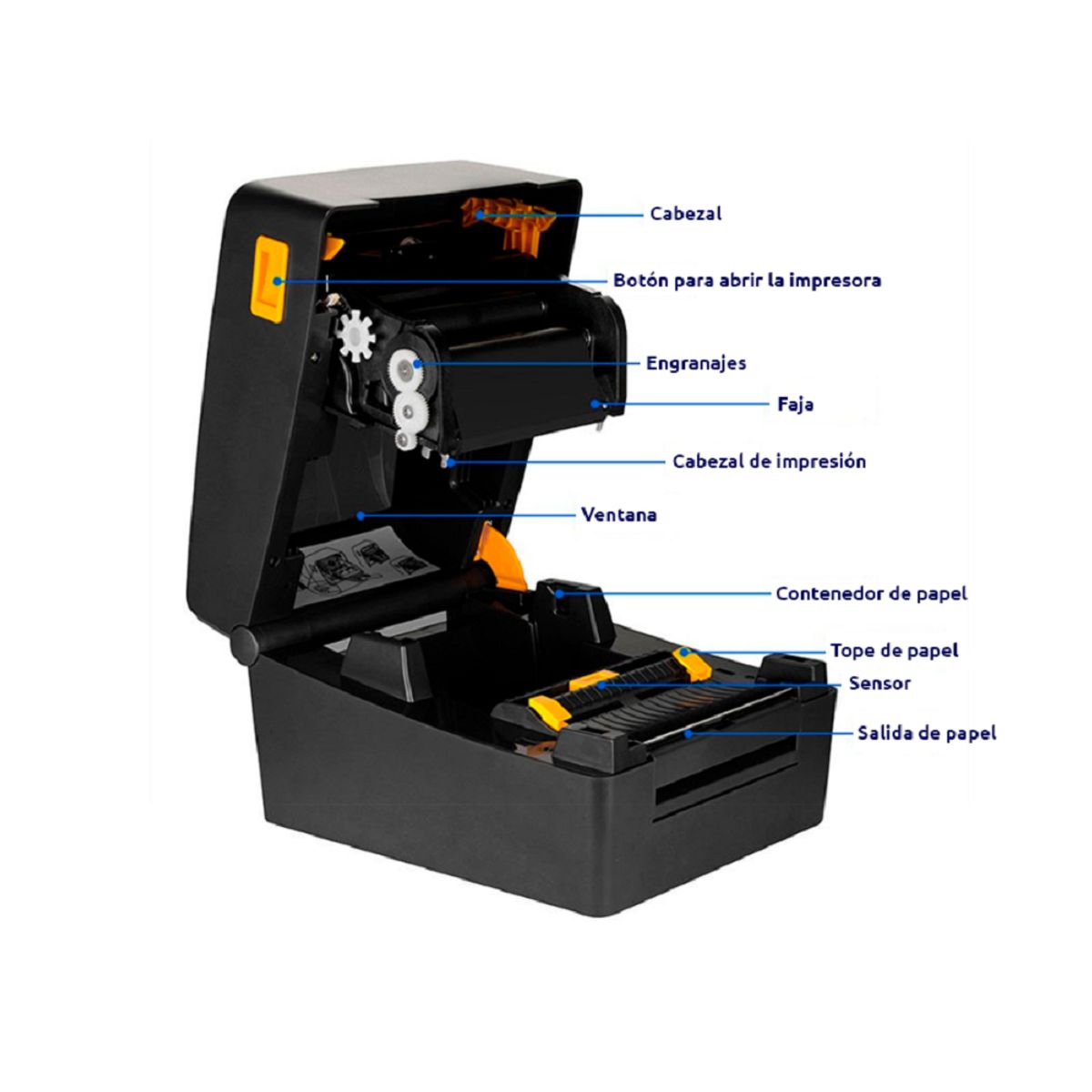 XPRINTER - Impresora transferencia termica y termico directo etiquetas códigos barra USB Bluetooth 110mm TT424B