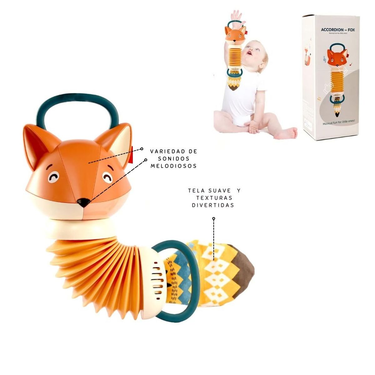 GENERICO - Acordeón Fox - Juguete Musical