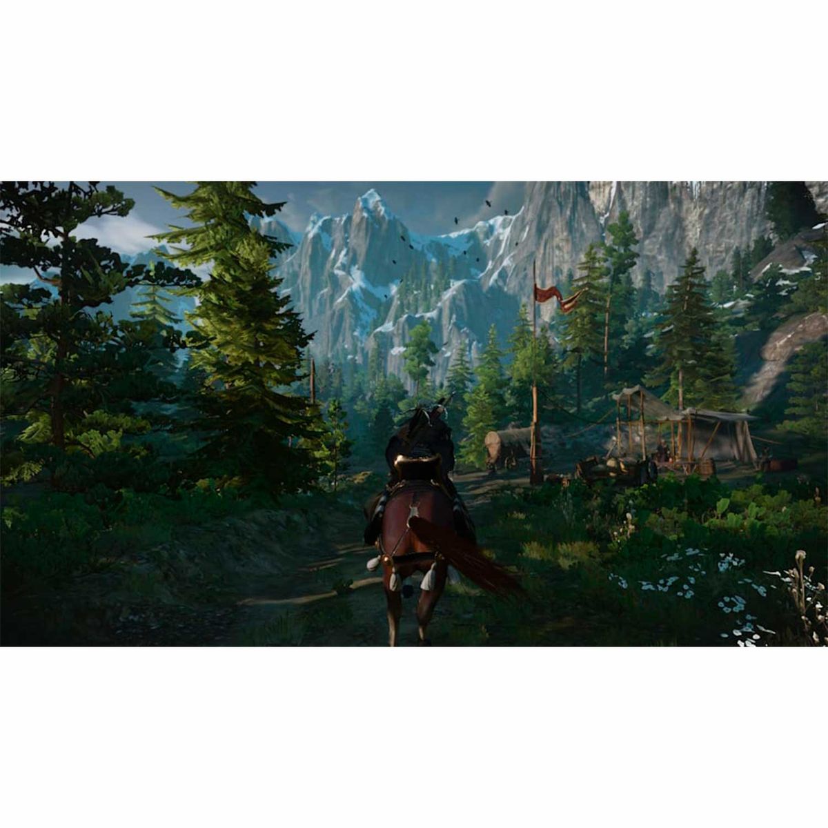 NINTENDO - The Witcher 3 Wild Hunt Nintendo Switch Euro