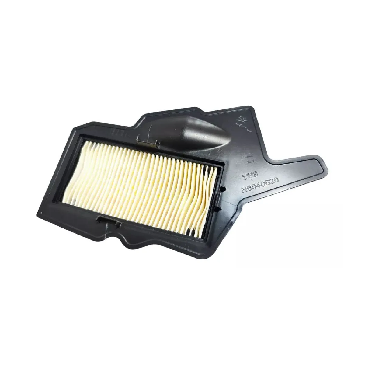 TVS - Filtro de Aire Original TVS Raider 125