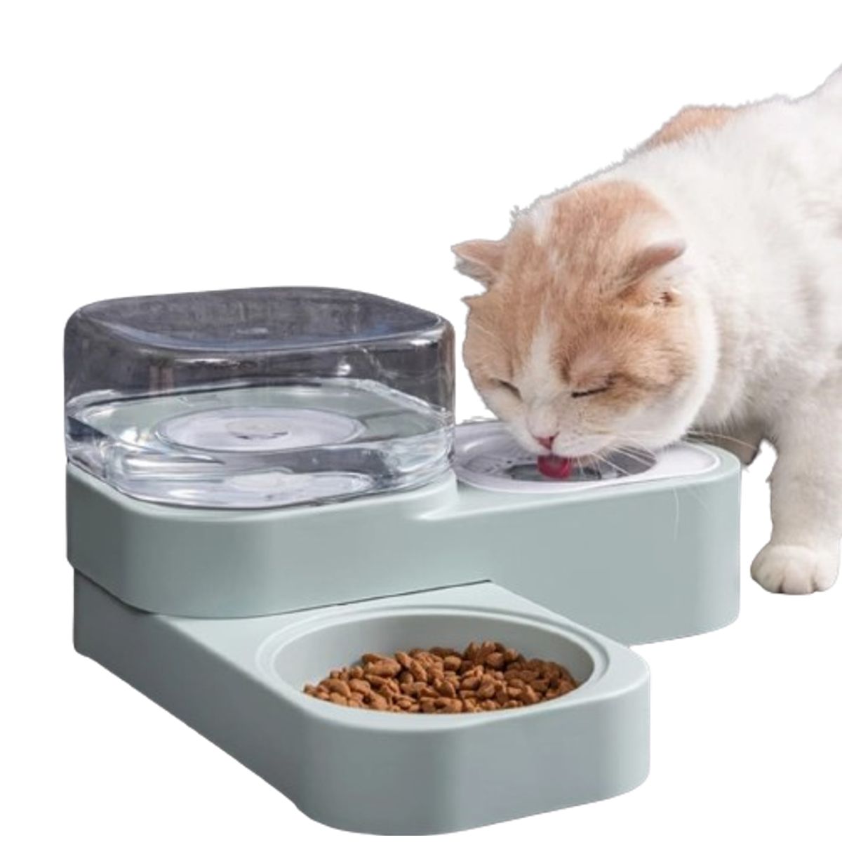 GENERICO - Dispensador autómatico y plato de comida para Mascotas VERDE