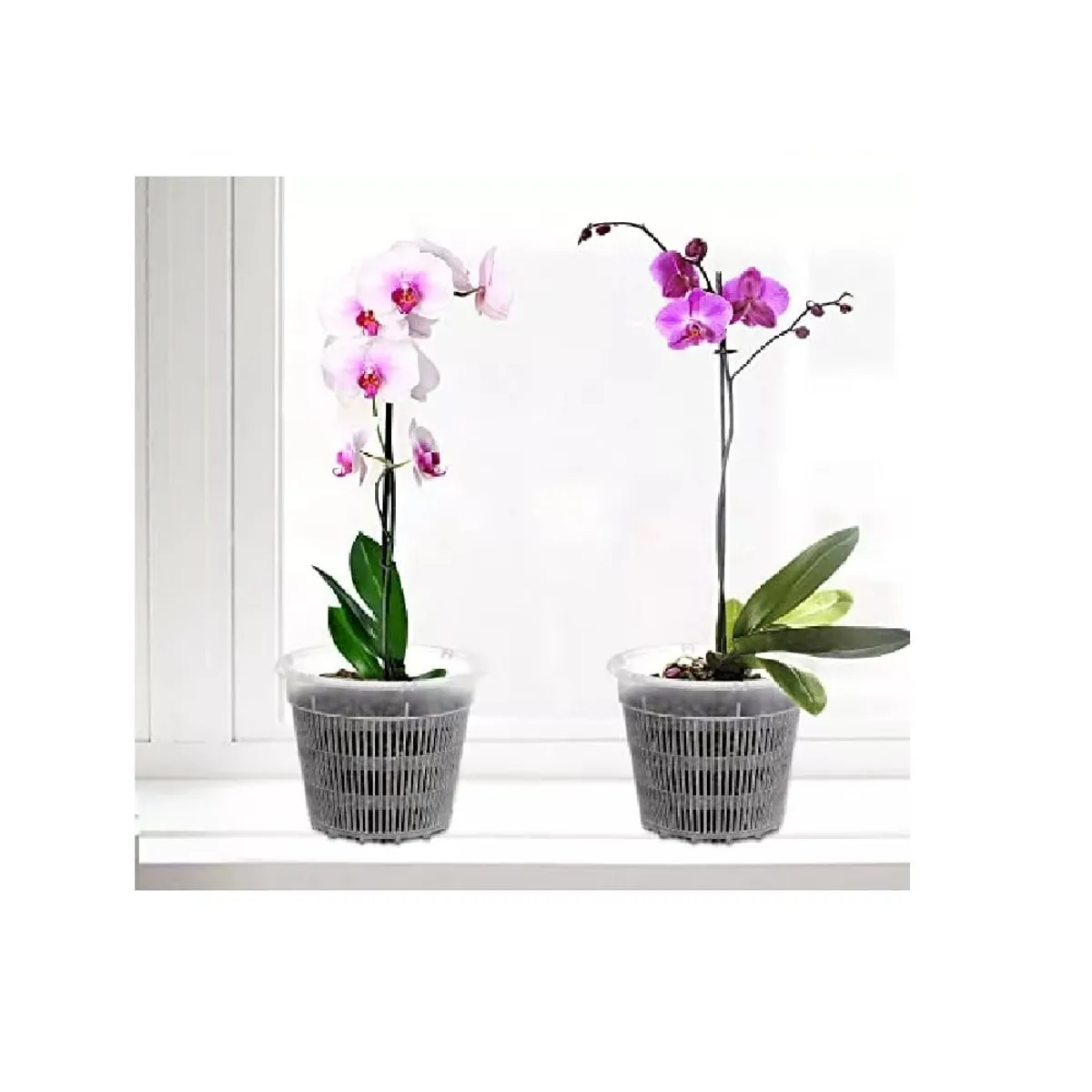 OTTOWARE - Set de 3 Macetas para Orquídeas de 9.5 cm de Ancho