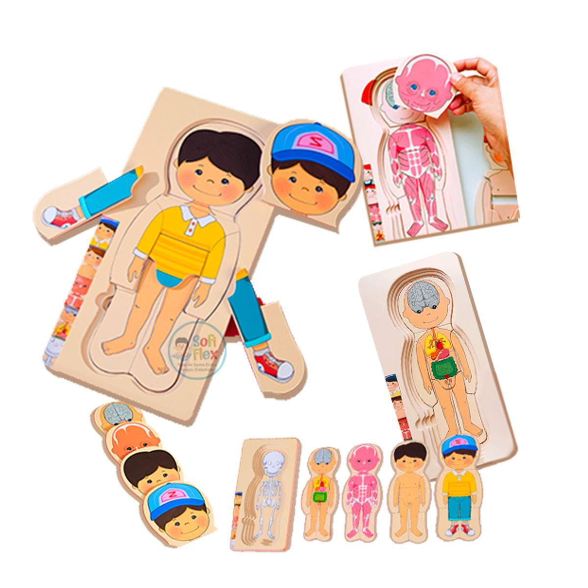 GENERICO - Rompecabeza Cuerpo Humano Niño