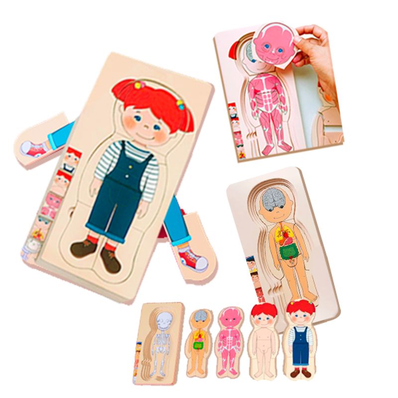 GENERICO - Rompecabeza Cuerpo Humano Niña