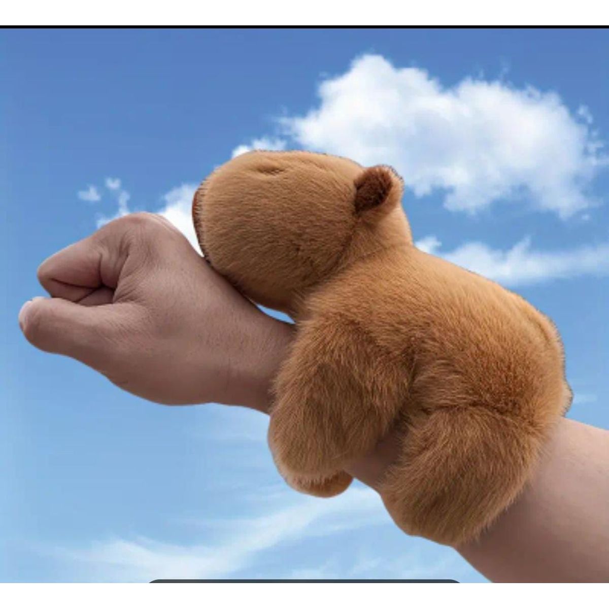 GENERICO - PELUCHE CAPÌBARA DE MANO