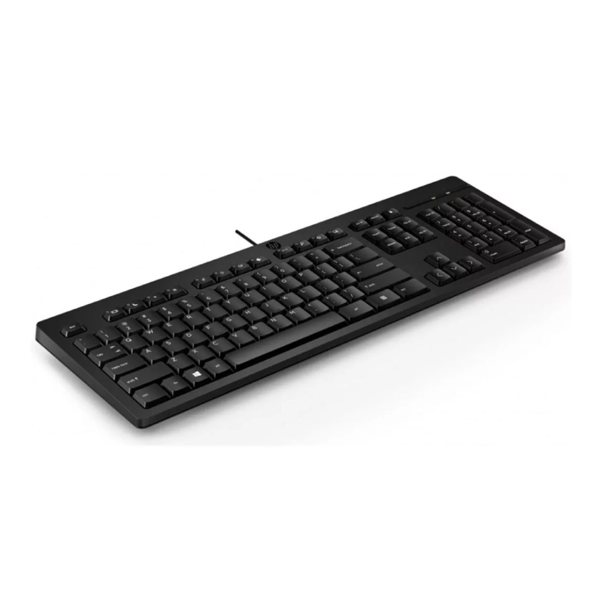 HP - Teclado HP 125 con Cable color Negro Español