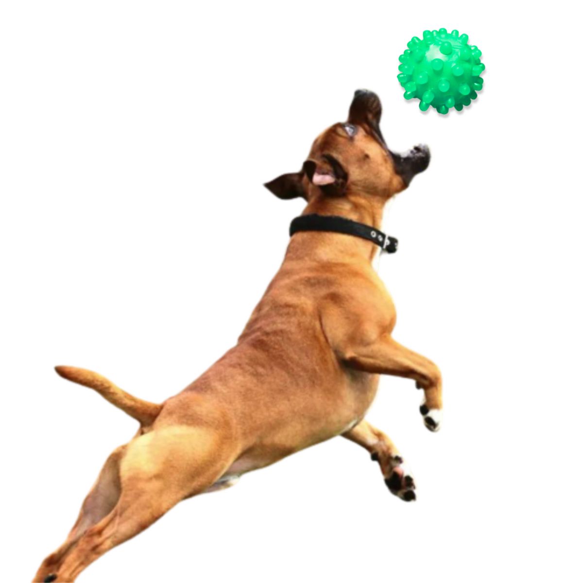 GENERICO - PELOTA CON PUAS PARA MASCOTA VERDE