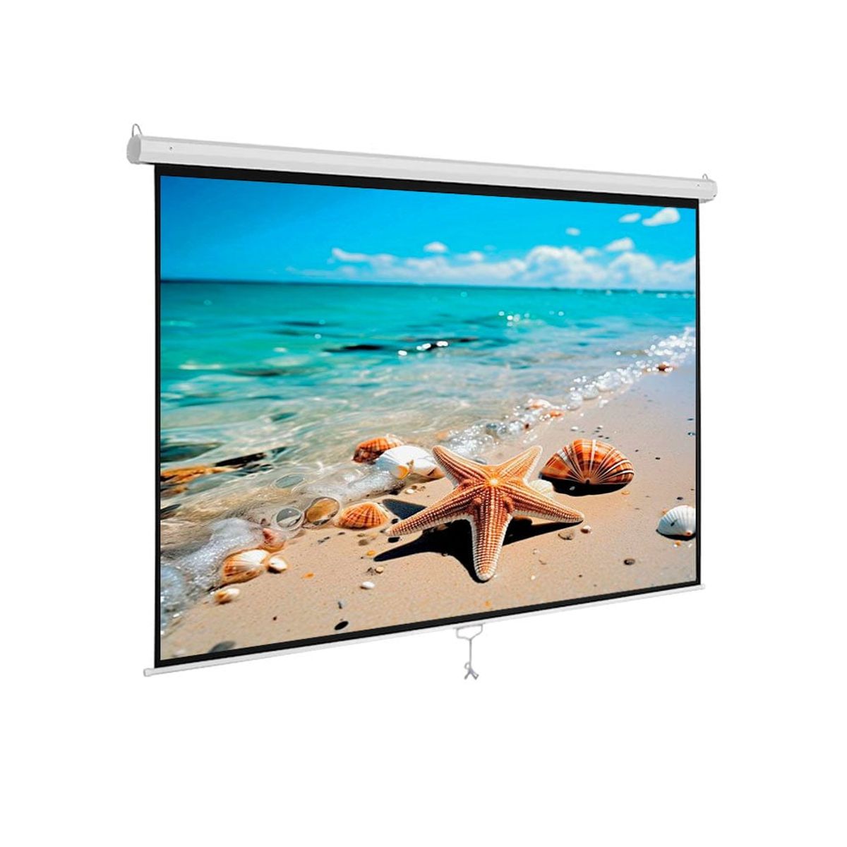 OEM - ECRAN MANUAL  RETRACTIL Pared/Techo 1.80 X 1.80 m (Antireflex)