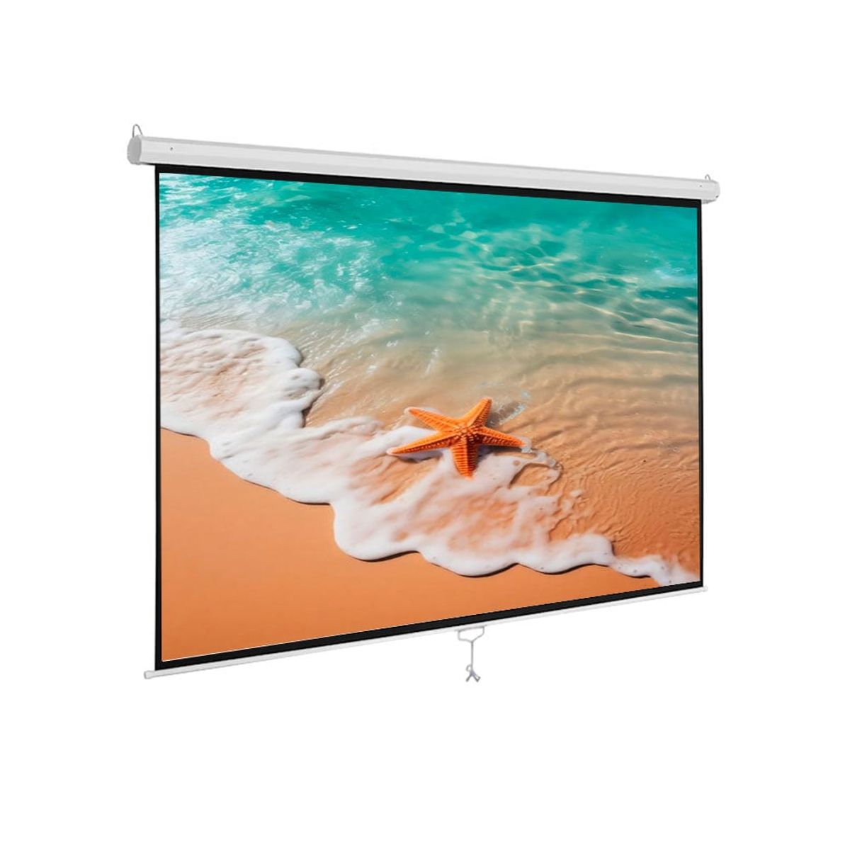 OEM - ECRAN MANUAL  RETRACTIL Pared/Techo 2.40 X 1.80 m (Antireflex)