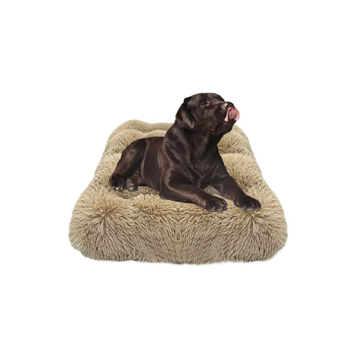 GENERICO - Cama para perro colchoneta pelo largo Talla L Beige 70X90cm