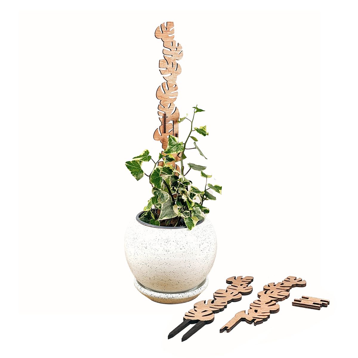 UN CUARTO VERDE - Soporte Hoja Apilable para plantas UN CUARTO VERDE parante tutor de 58cm