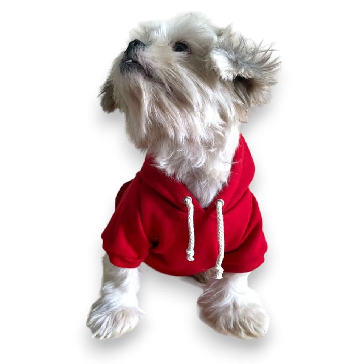 MD - Ropa Capucha polera de algodon para Mascotas Rojo  -T6