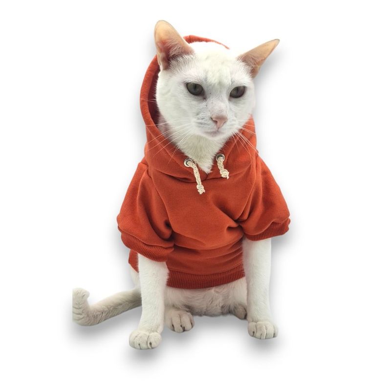 MD - Ropa Capucha polera de algodon para Mascotas Lacre T6