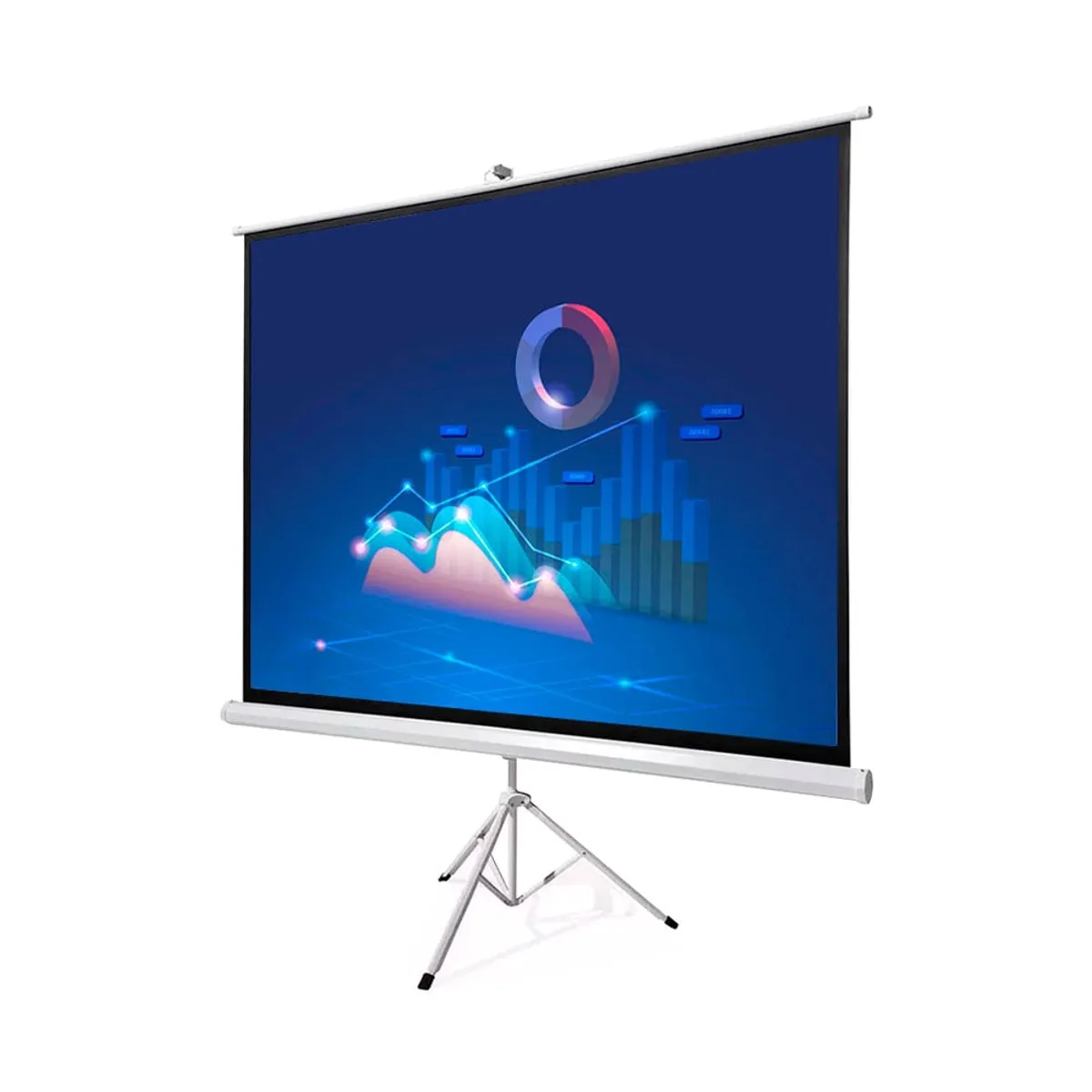 OEM - ECRAN con TRIPODE 2.00 x 1.50 m (Antireflex)