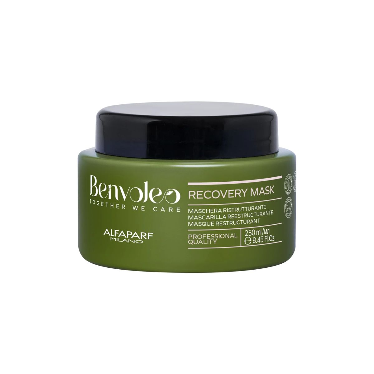 ALFAPARF MILANO - ALFAPARF BENVOLEO Recovery Mask 250 ml