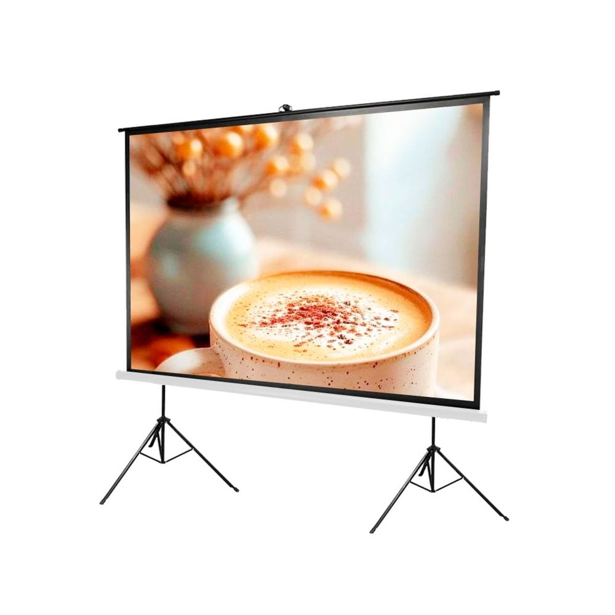 OEM - ECRAN CON DOBLE TRIPODE 3.00 X 2.50m (Antireflex)