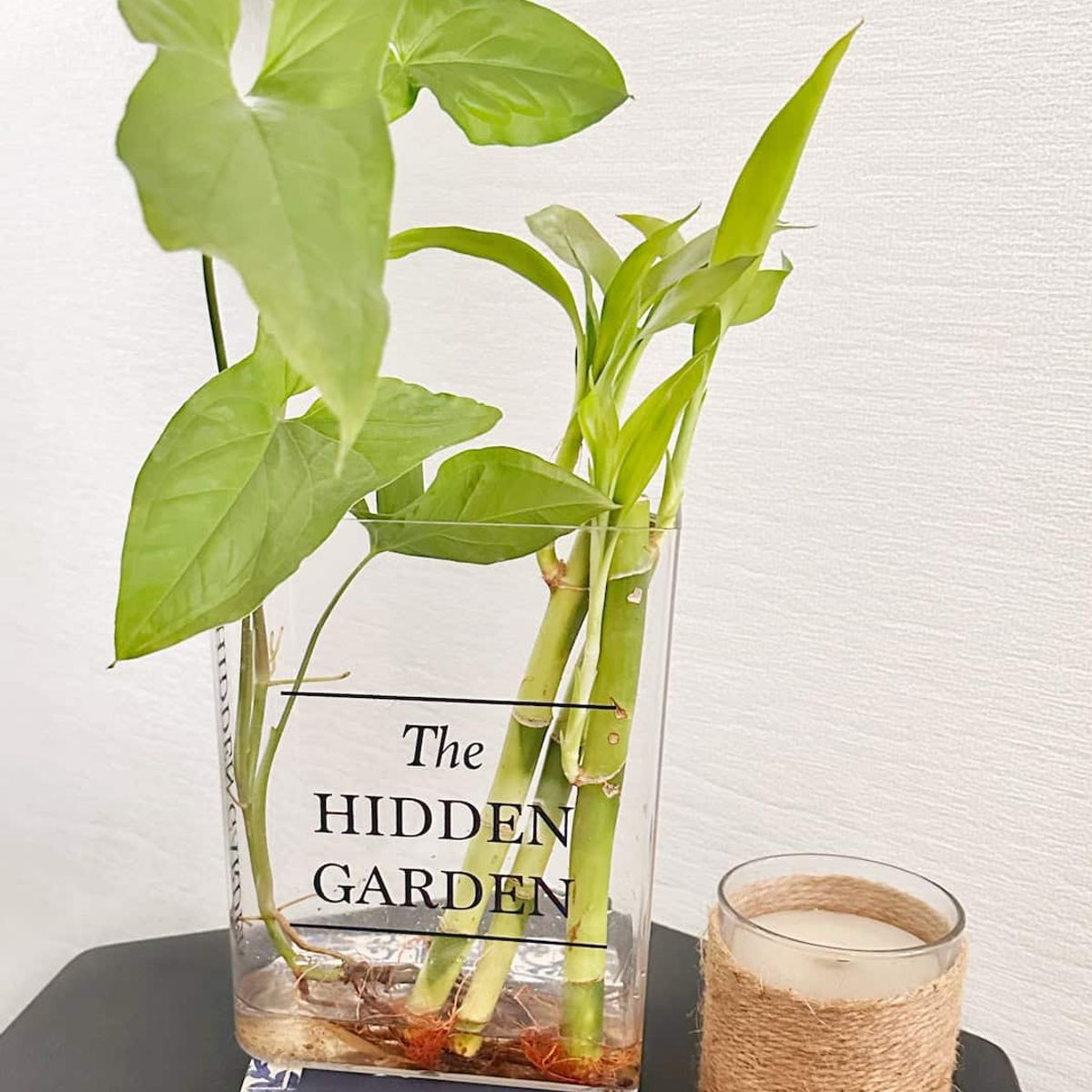 GENERICO - Libro Florero Hidroterrario para plantas y flores