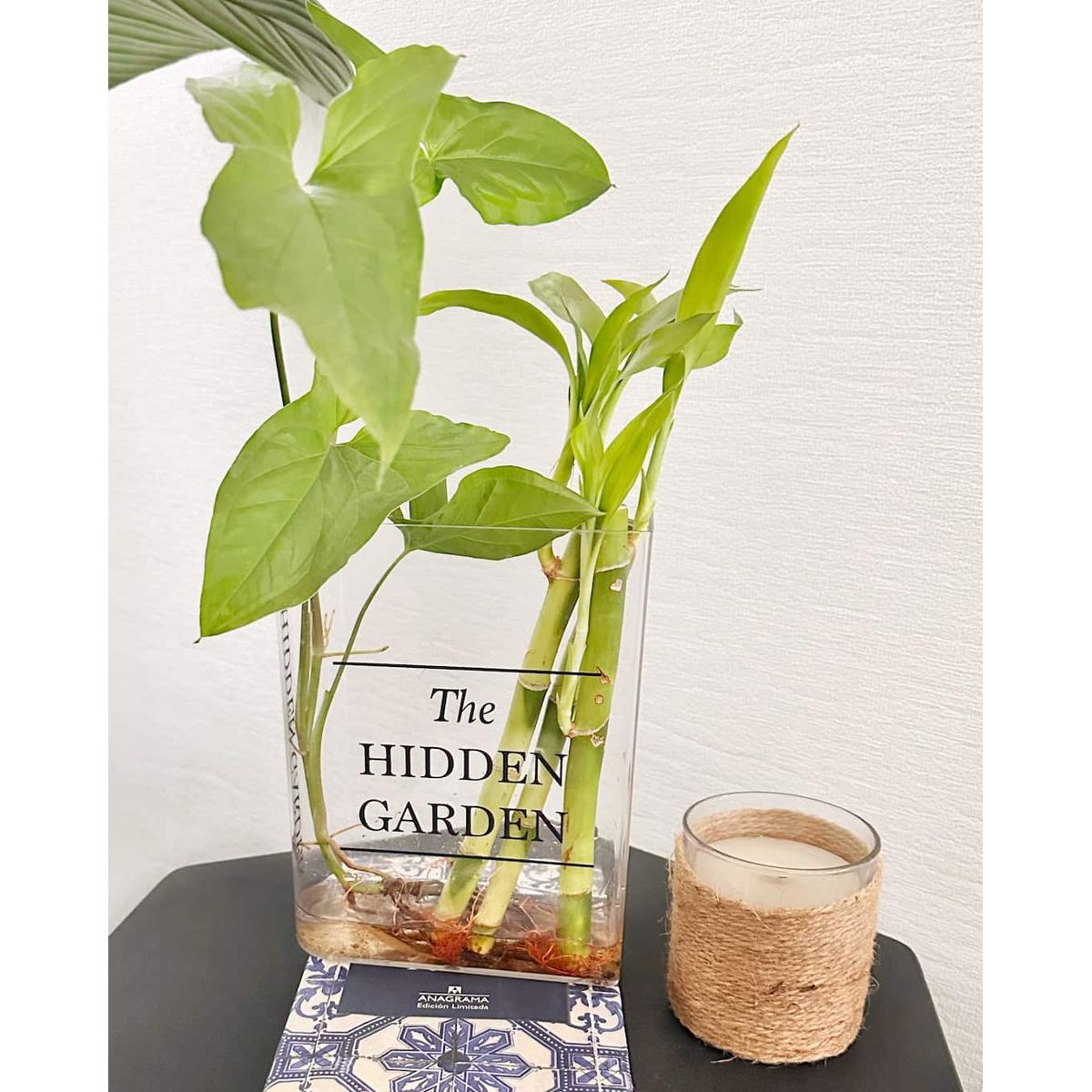 GENERICO - Libro Florero Hidroterrario para plantas y flores