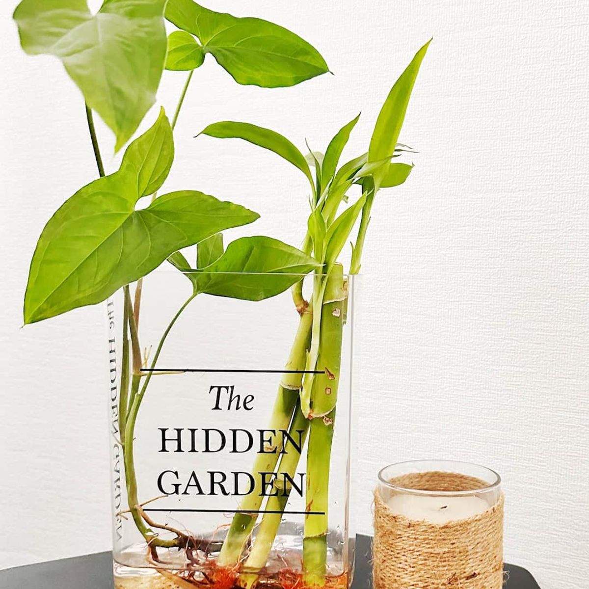 GENERICO - Libro Florero Hidroterrario para plantas y flores