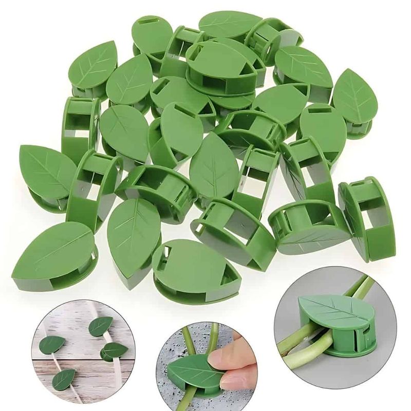 GENERICO - 10 Ganchos  Clips Adhesivo para pared para tu planta