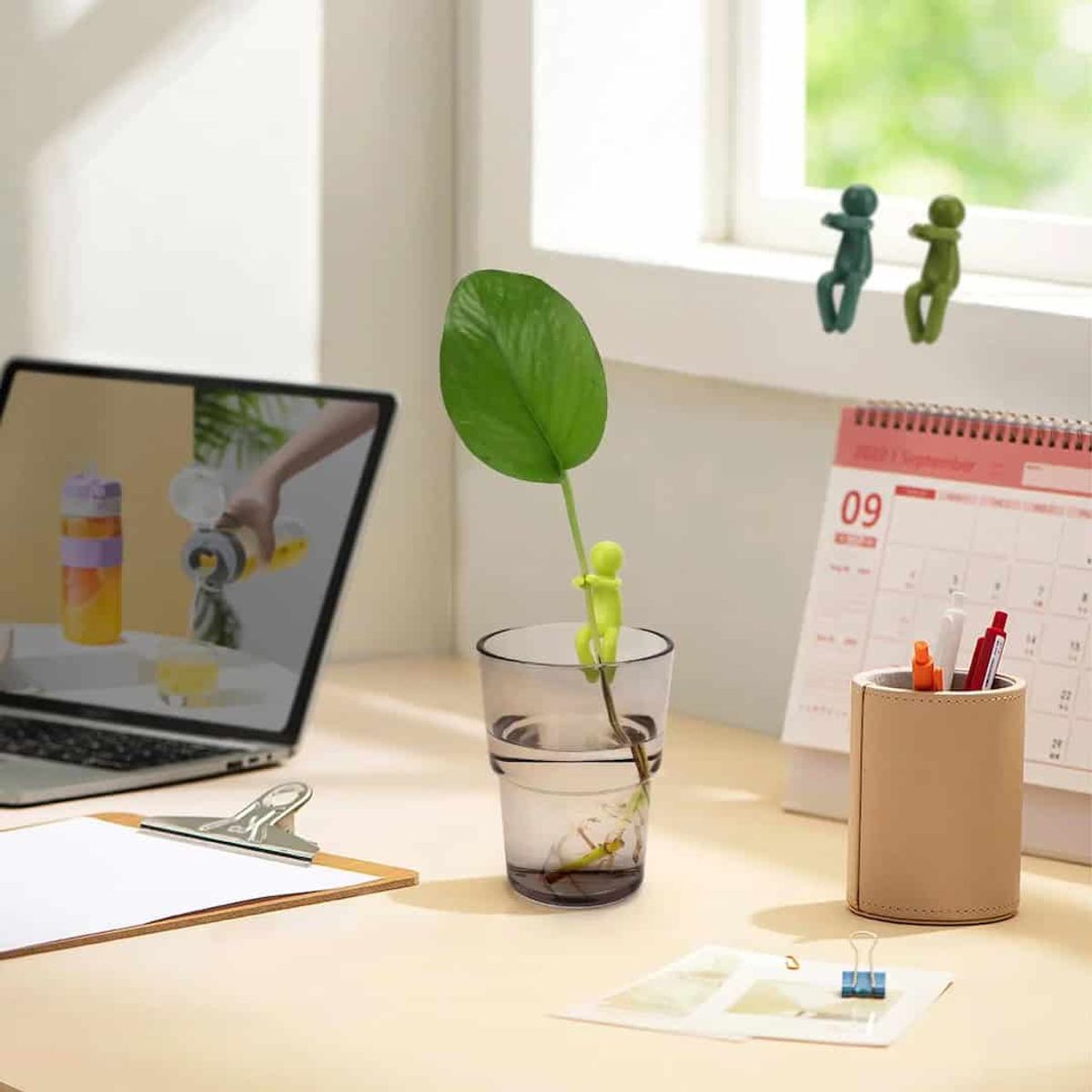 GENERICO - 3 Soporte para plantas y esquejes