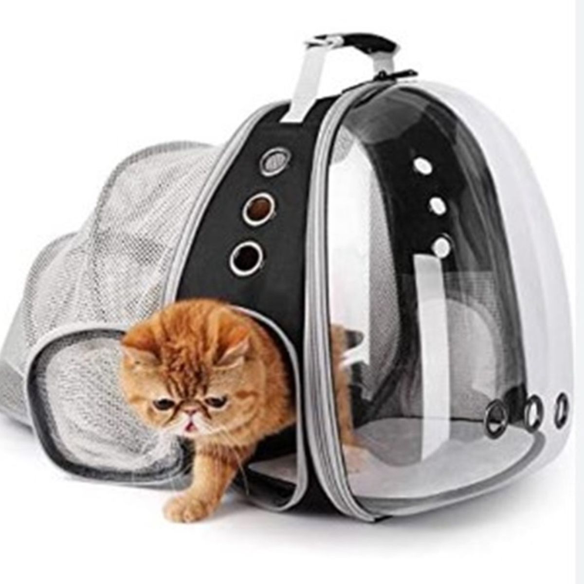 GENERICO - Mochila Para Gato Mascotas Perro Todo Transparente - NEGRO