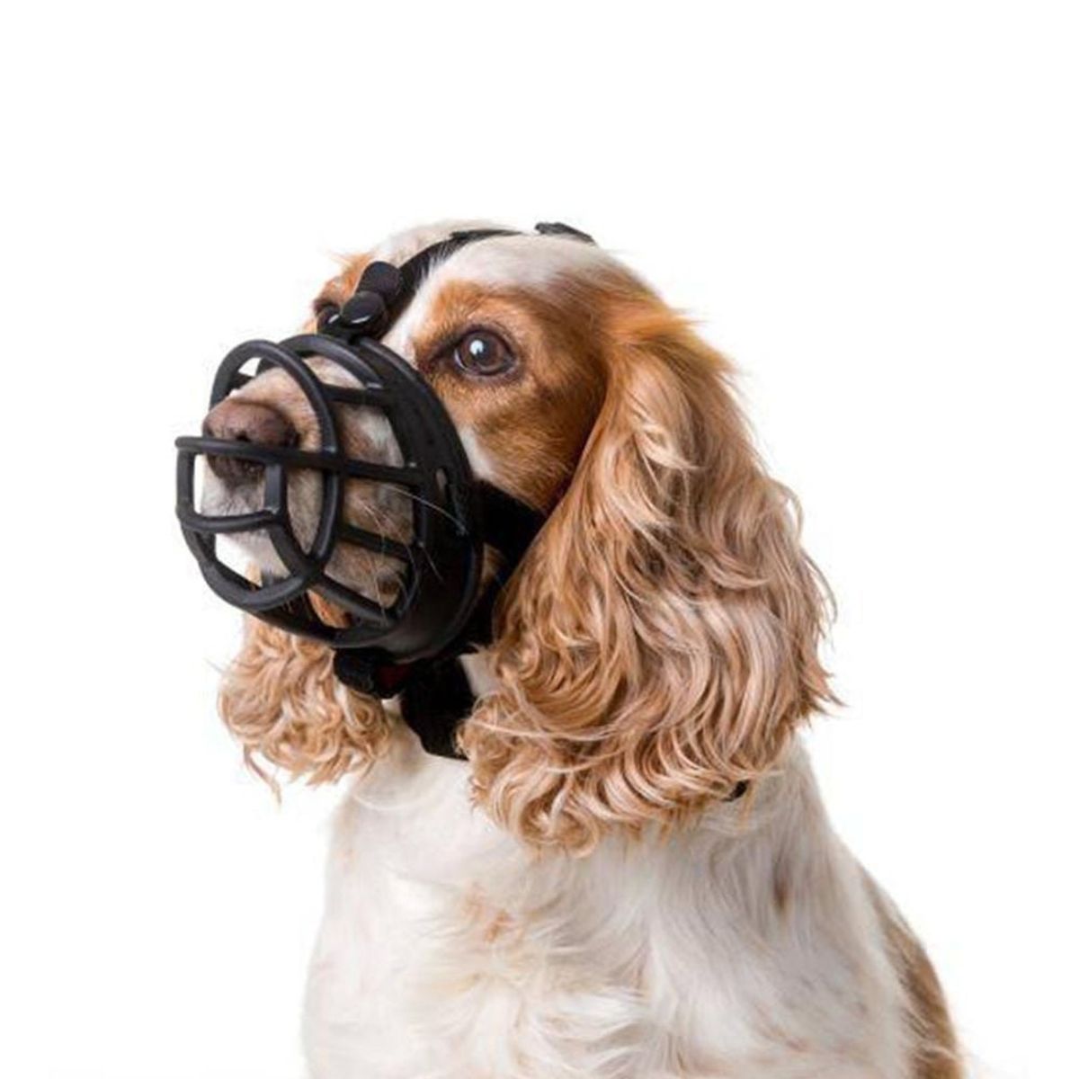 GENERICO - Bozal Flexible de Silicona para Perros Talla 2