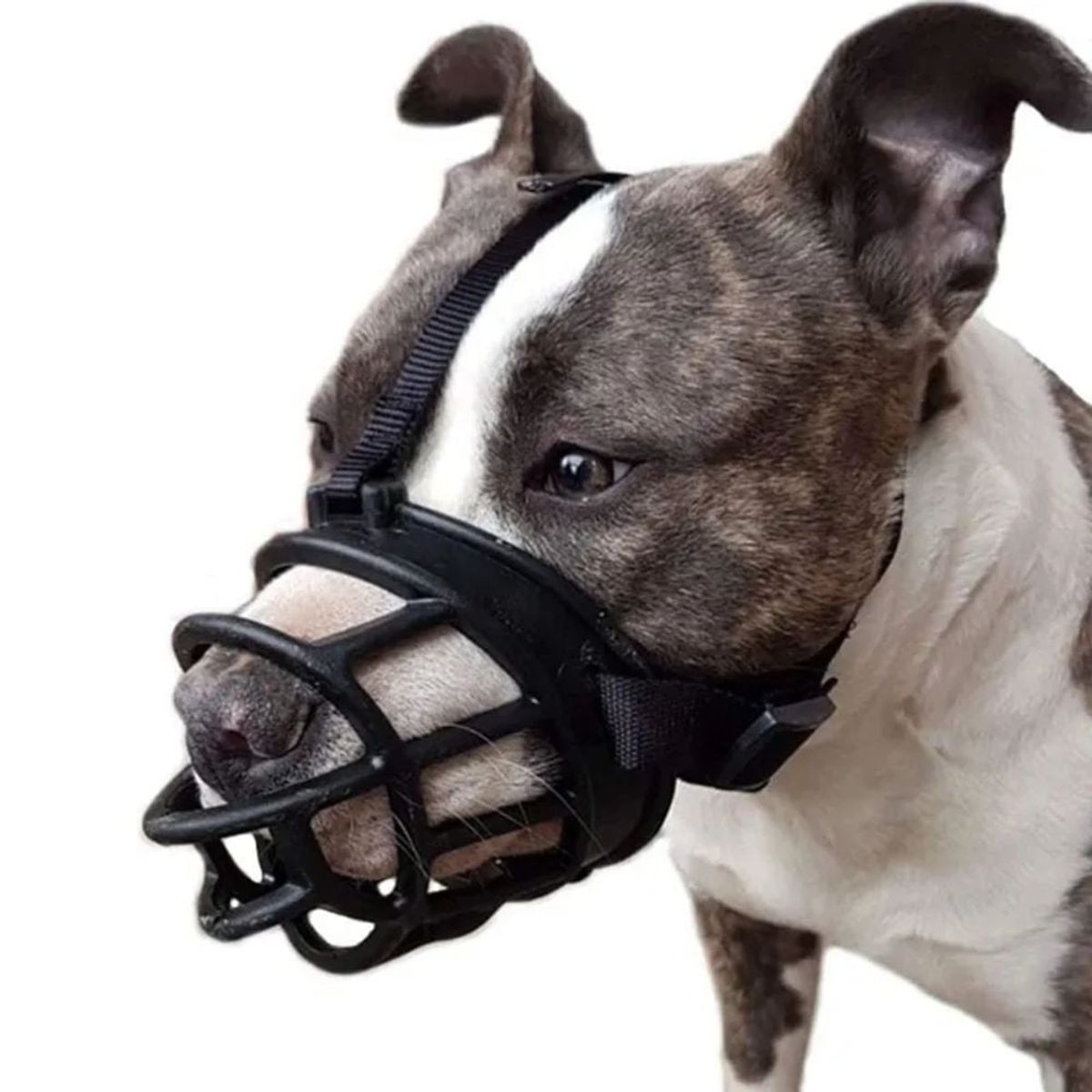 GENERICO - Bozal Flexible de Silicona para Perros Talla 5