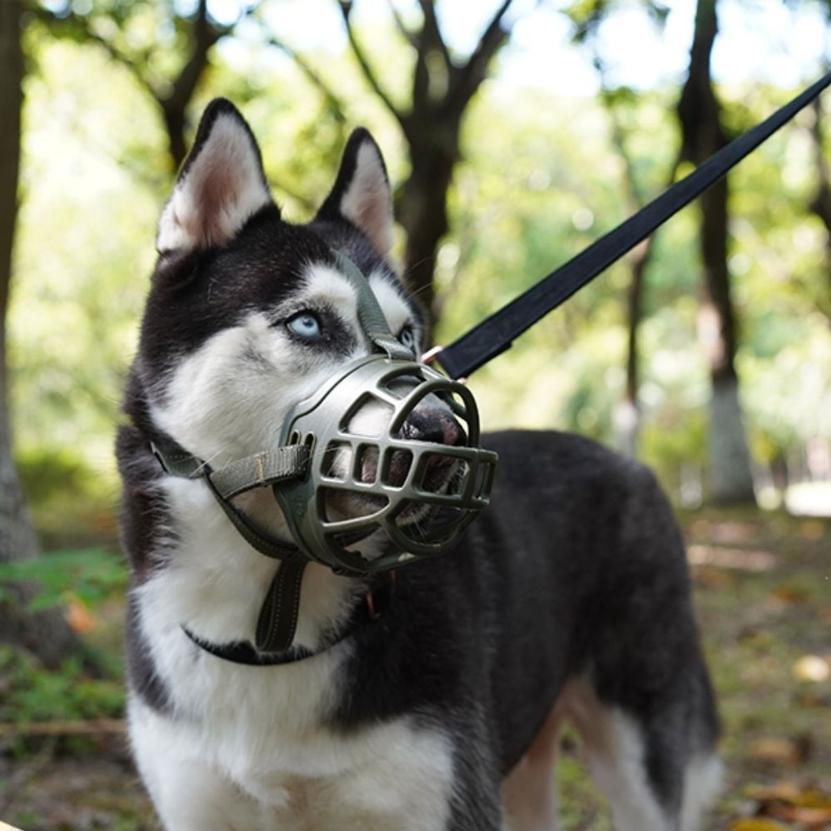 GENERICO - Bozal Flexible de Silicona para Perros Talla 5