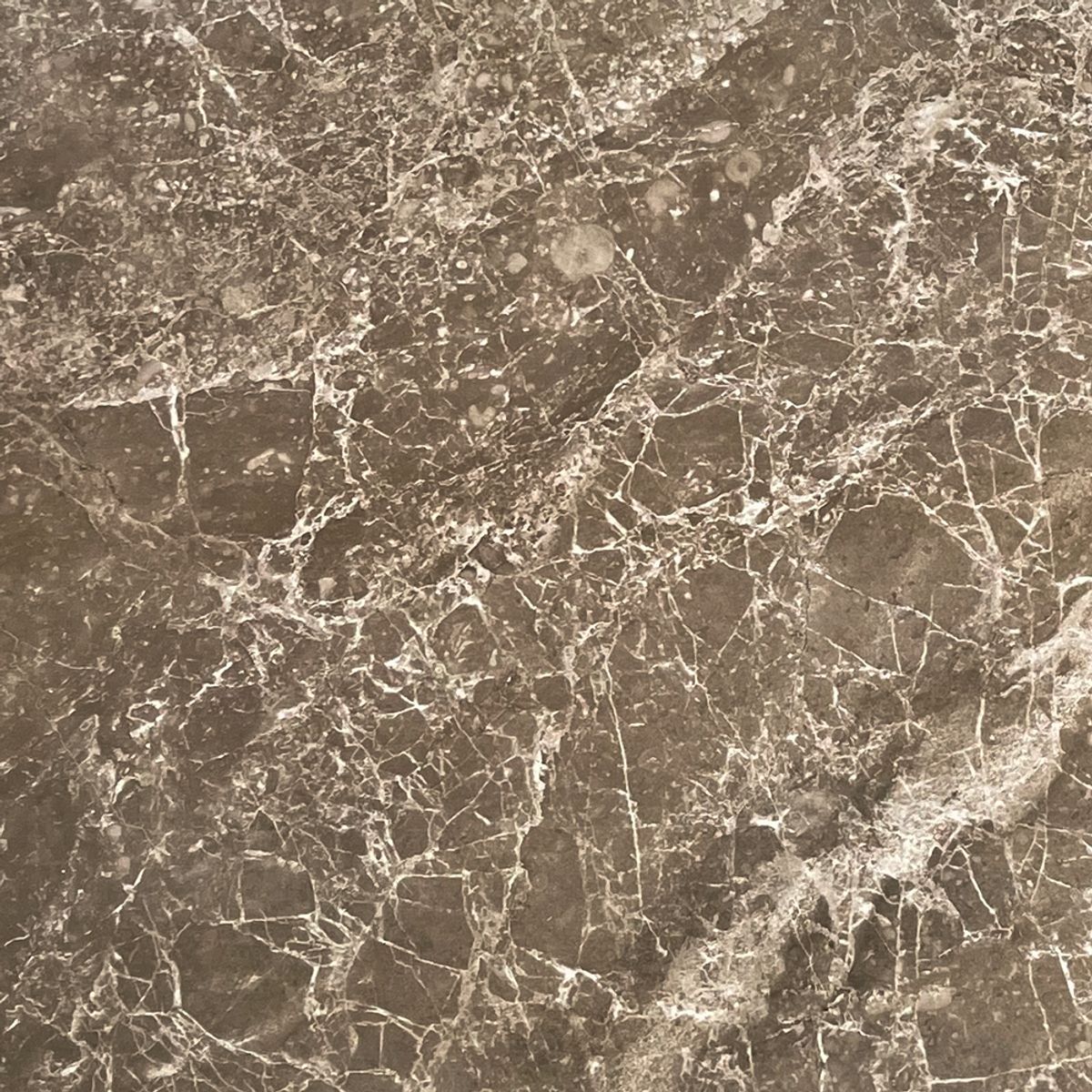 EJESA CREA TU ESPACIO IDEAL - Marmol tigre 60x60 cm 1.44 m2- Porcelanato vitrificado