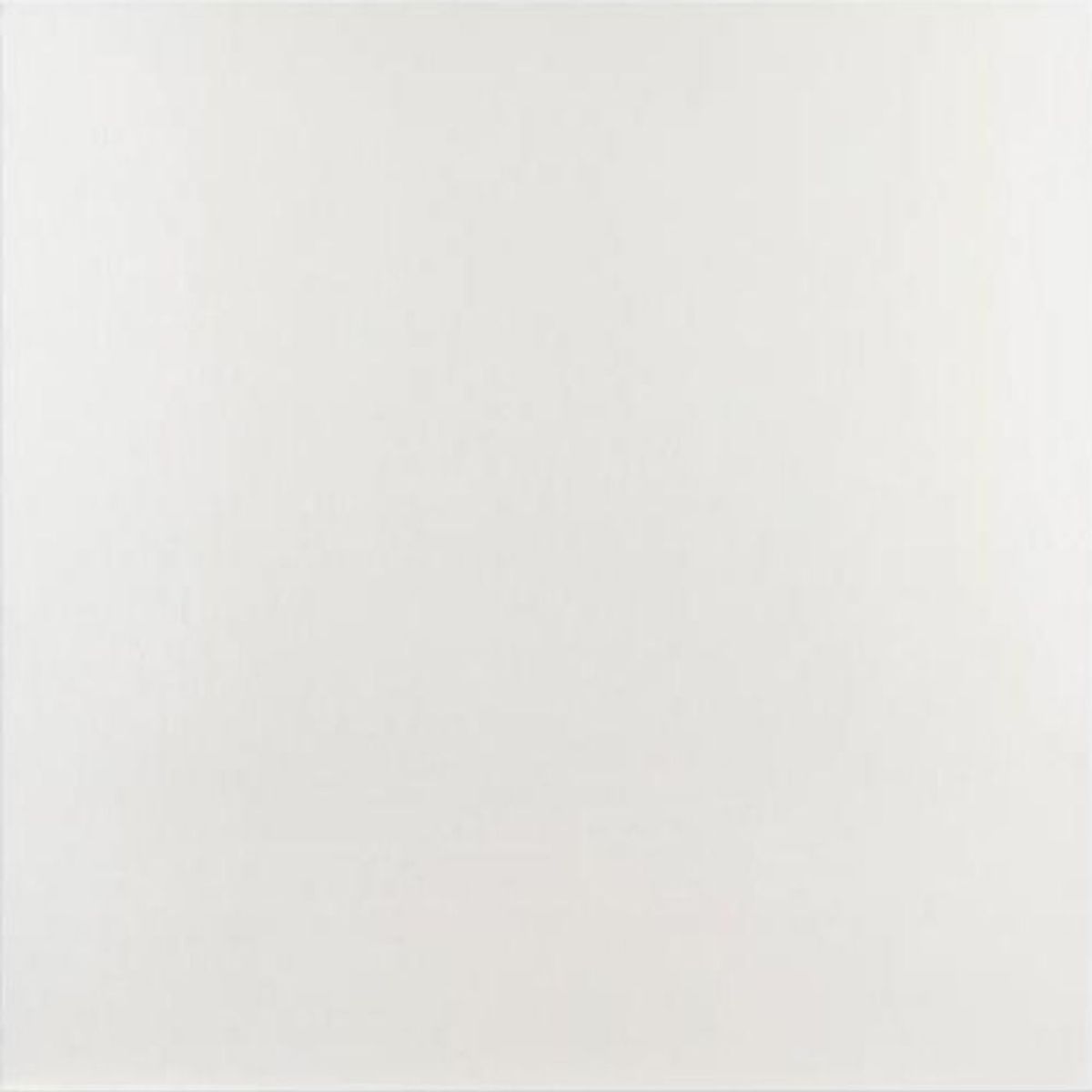 EJESA CREA TU ESPACIO IDEAL - Nieve 60x60 cm 1.44 m2- Porcelanato vitrificado