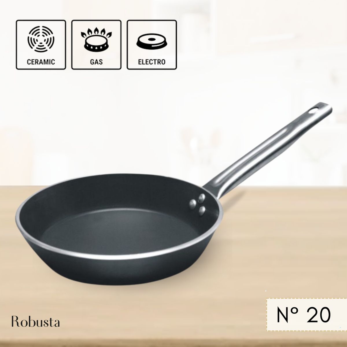 RECORD - Sartén de aluminio Antiadherente Robusta 20 cm Record