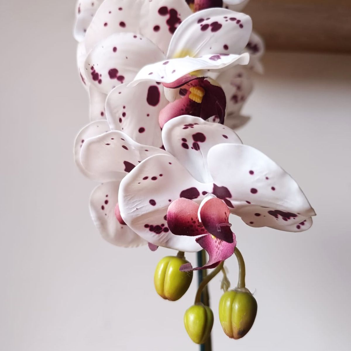 GENERICO - Orquídea 65x17cm Realista Aritificial en Maceta de Cerámica Día de la Madre